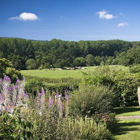 Whitfield House Ludlow Hotel ห้อง รูปภาพ