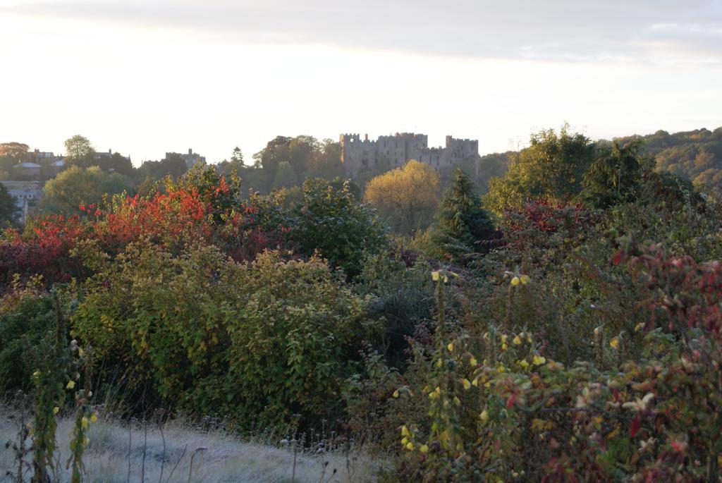 Whitfield House Ludlow Hotel ภายนอก รูปภาพ